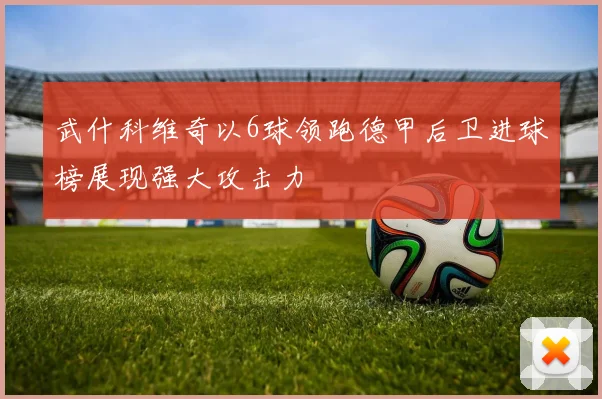武什科维奇以6球领跑德甲后卫进球榜展现强大攻击力