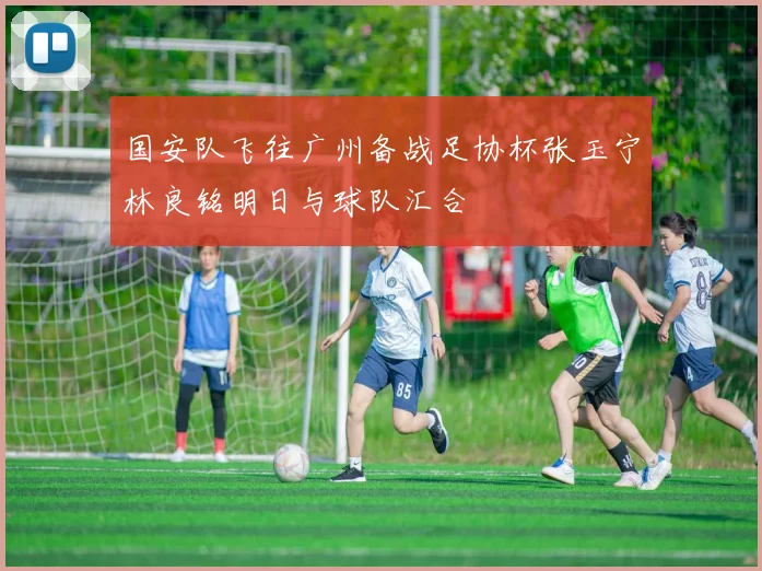 国安队飞往广州备战足协杯张玉宁林良铭明日与球队汇合